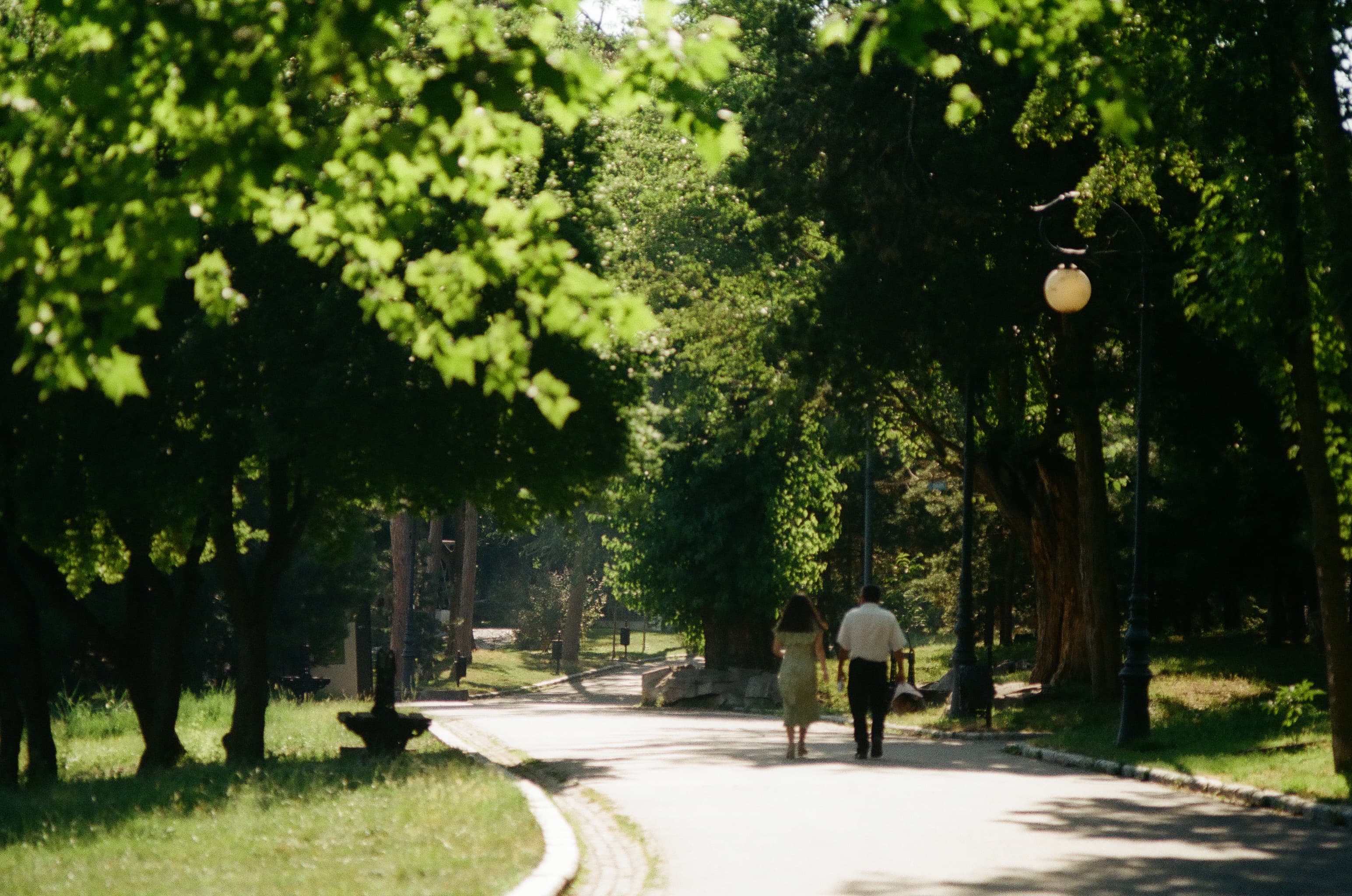 Walking together in a park